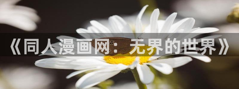 汗汗漫画 韩国漫画：《同人漫画网：无界的世界》