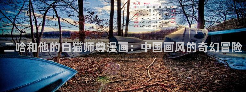 羞羞汗汗漫画：二哈和他的白猫师尊漫画：中国画风的奇幻冒险
