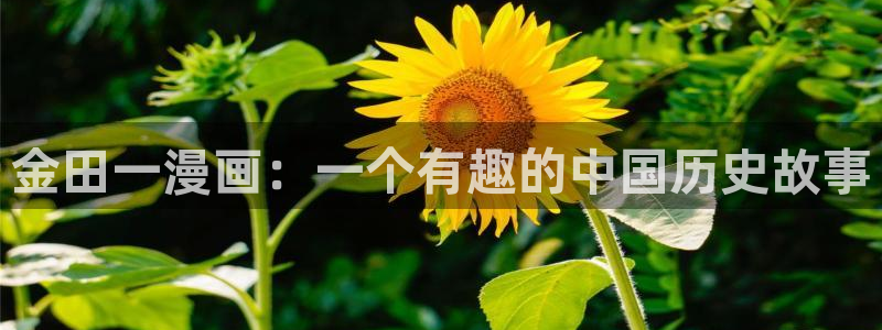 汗汗漫画秘密教学：金田一漫画：一个有趣的中国历史故事