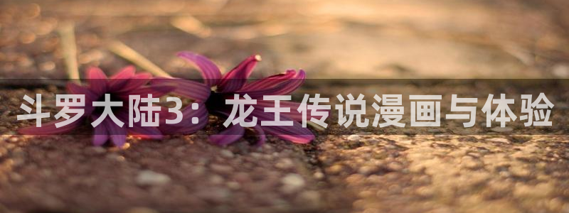 韩国汗汗漫画免费：斗罗大陆3：龙王传说漫画与体验