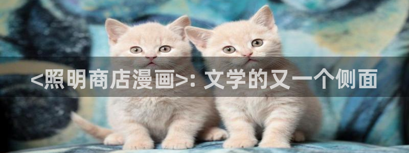 歪歪汗汗漫画网站：<照明商店漫画>: 文学的又一个侧面