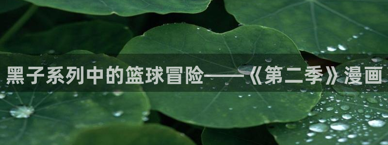 汗汗漫画免费进入：黑子系列中的篮球冒险——《第二季》漫画