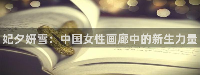 汗汗漫画sss网站：妃夕妍雪：中国女性画廊中的新生力量