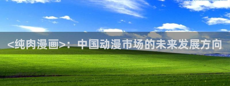 汗汗漫画免费阅读：<纯肉漫画>：中国动漫市场的未来发展方向