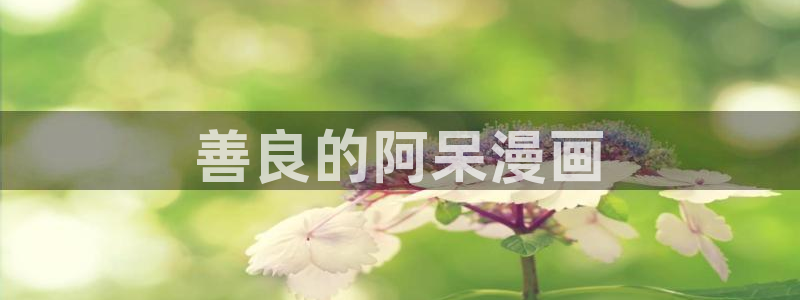 汗汗漫画免费下拉式漫画：善良的阿呆漫画