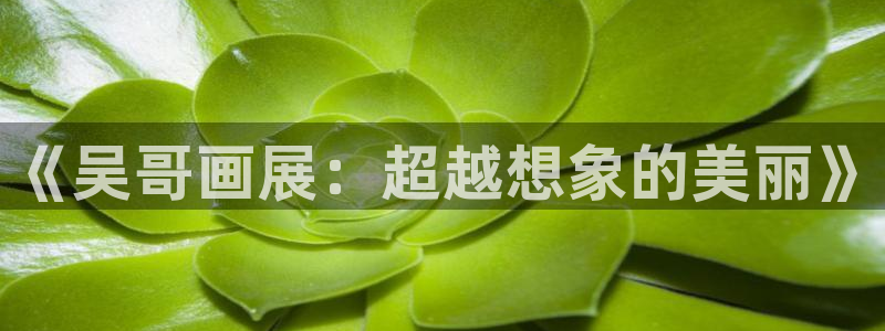美丽新世界汗汗漫画