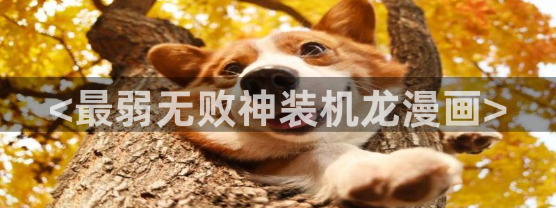 汗汗漫画在线观看网站