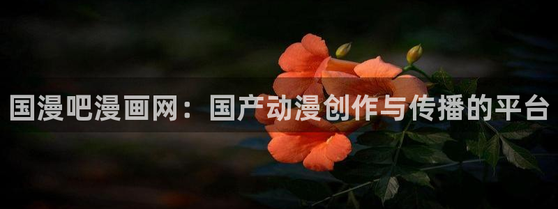 虎虎漫画 汗汗漫画